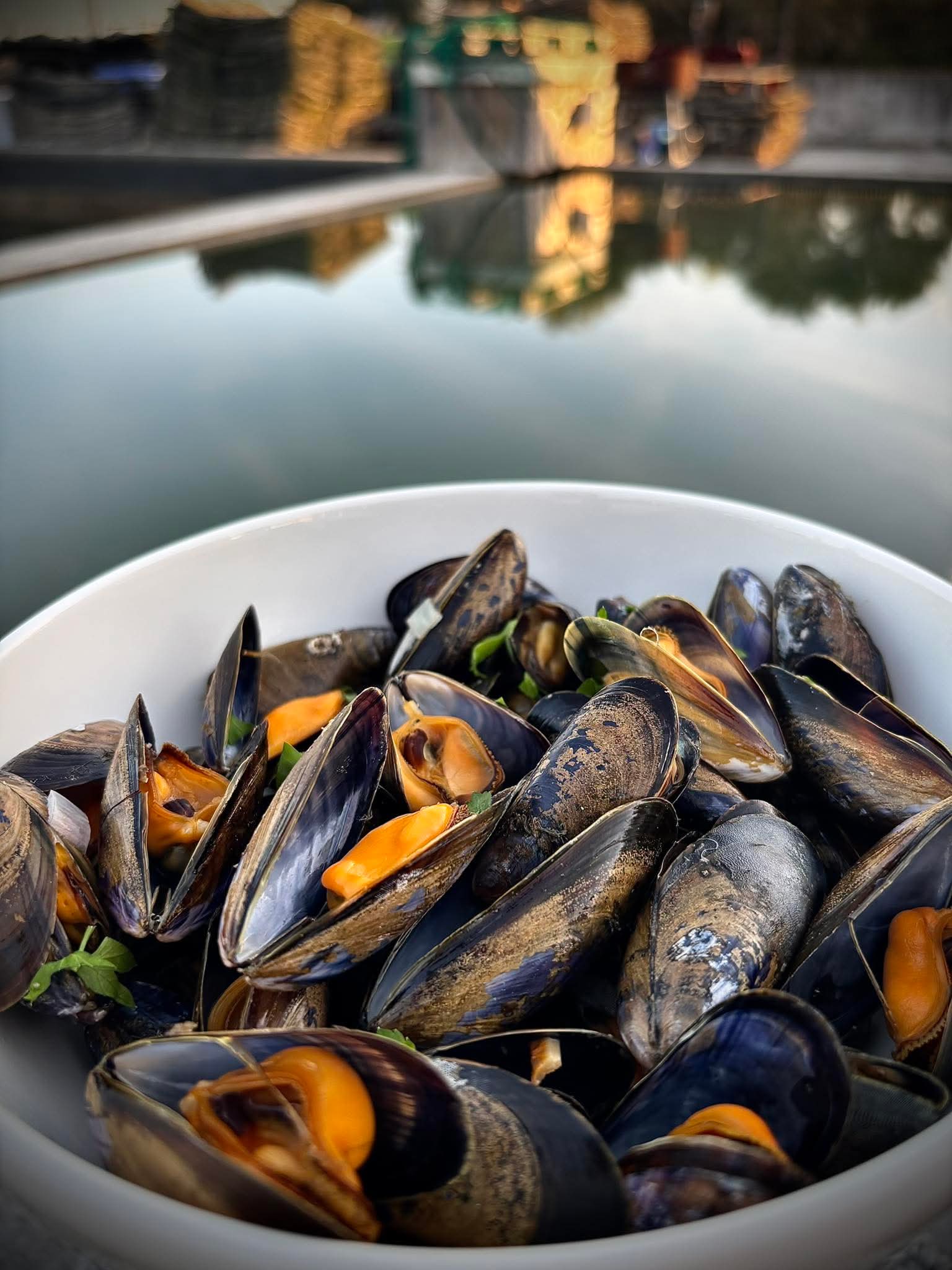 Moules marinières, à la crème, au pineau ou au chorizo Moules marinières, à la crème, au pineau ou au chorizo