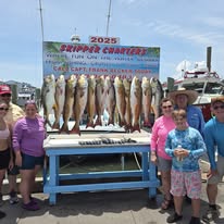 Skipper Charters Image