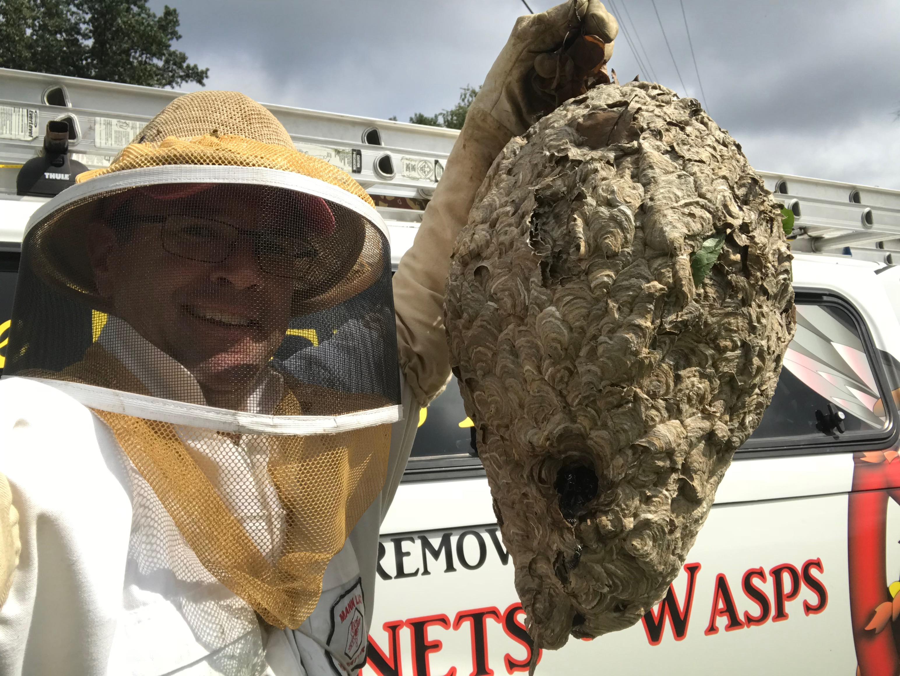 Bee exterminator in Pittsburgh, PA