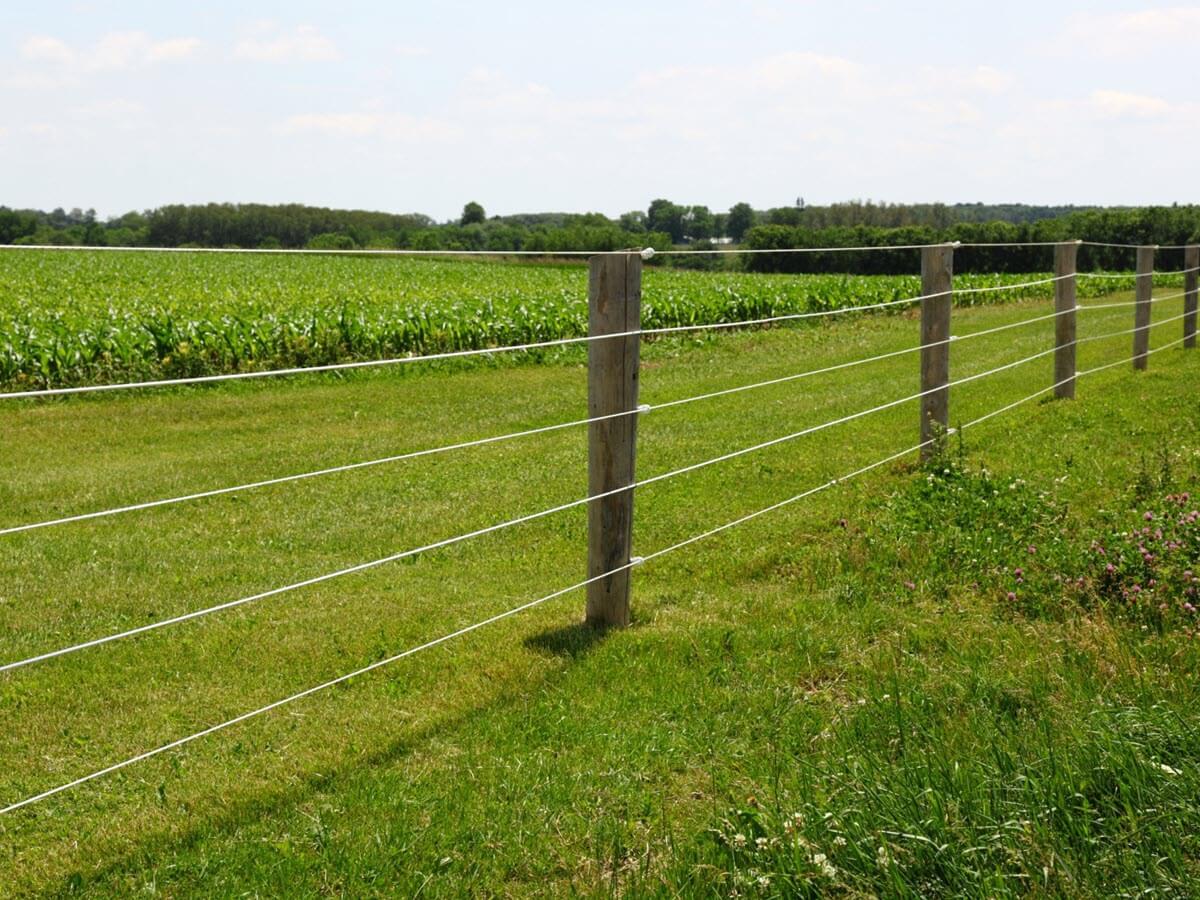 fencing panels