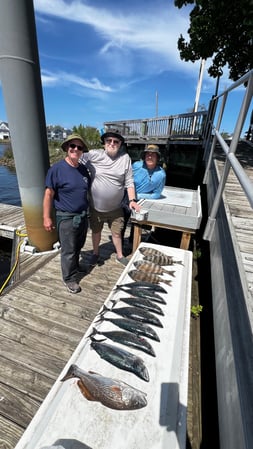 Images Eastern Tailz Outfitters