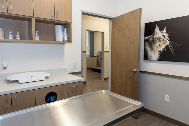 Images VCA Mainland Animal Hospital