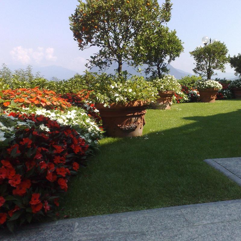 Images Dido' Floricoltura