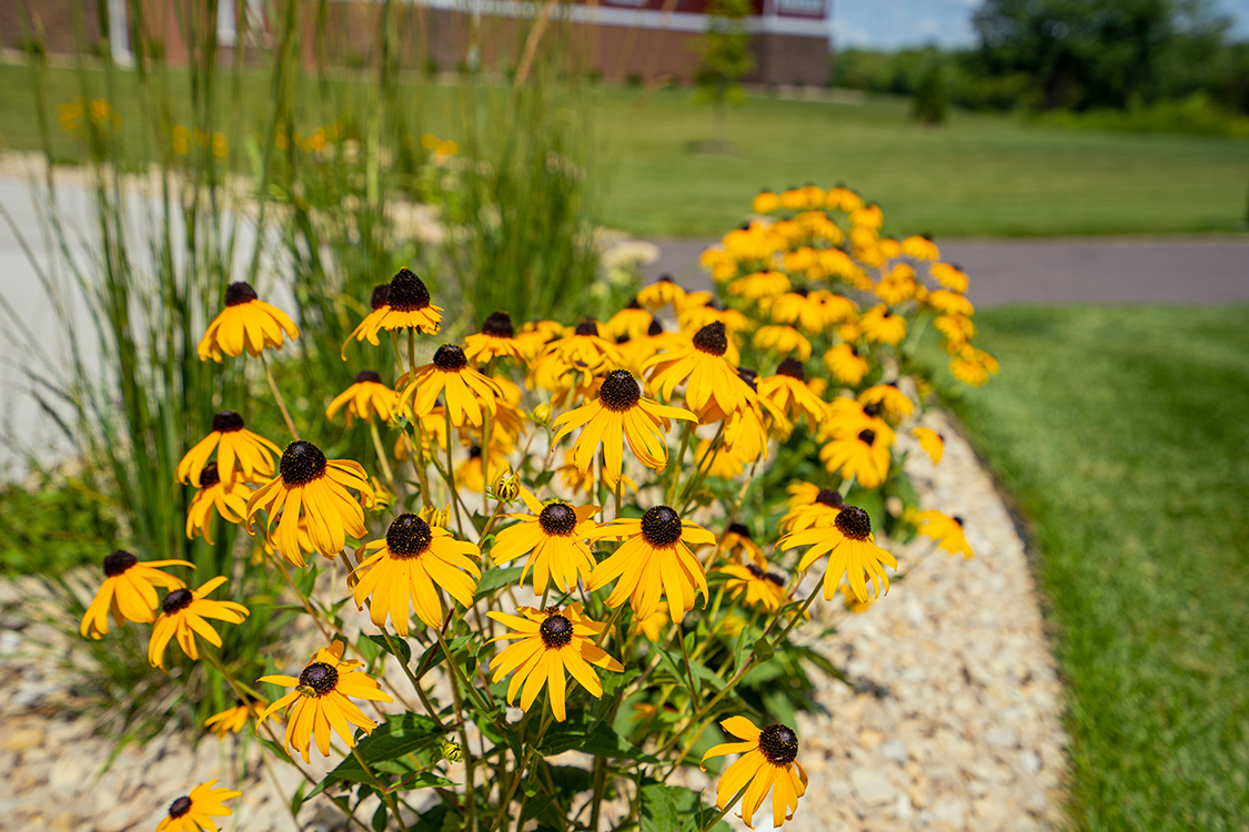 Riverview Landing is a beautiful non-profit senior living facility based in Otsego Minnesota. Give us a call today!