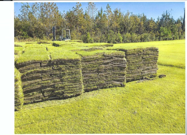 Images Horne Turf Farm