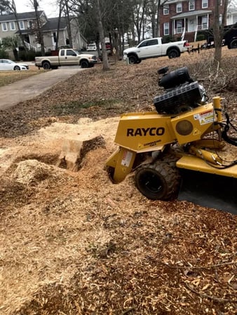 Images Tree Assault Tree Care