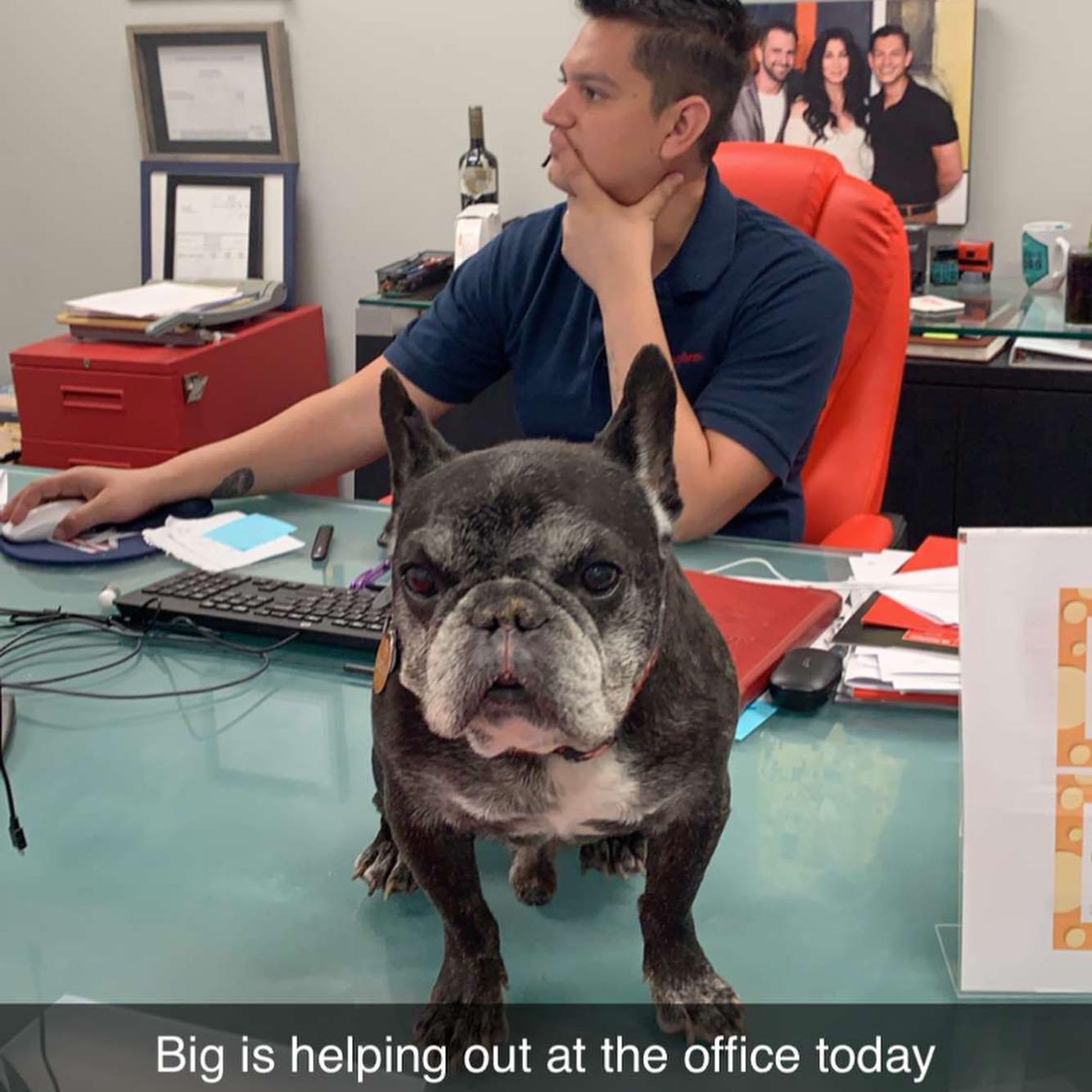David Vargas - State Farm Insurance Agent