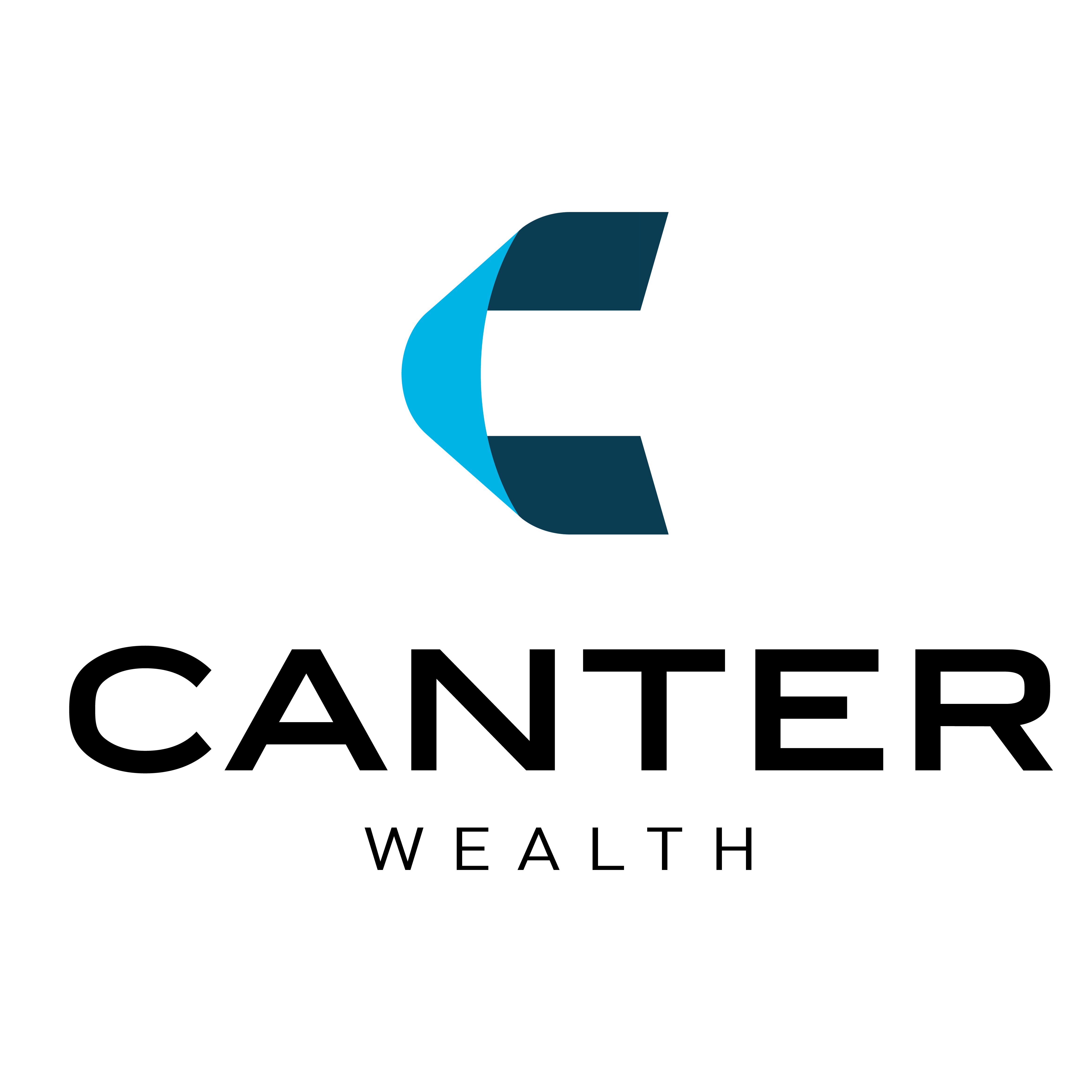 company logo