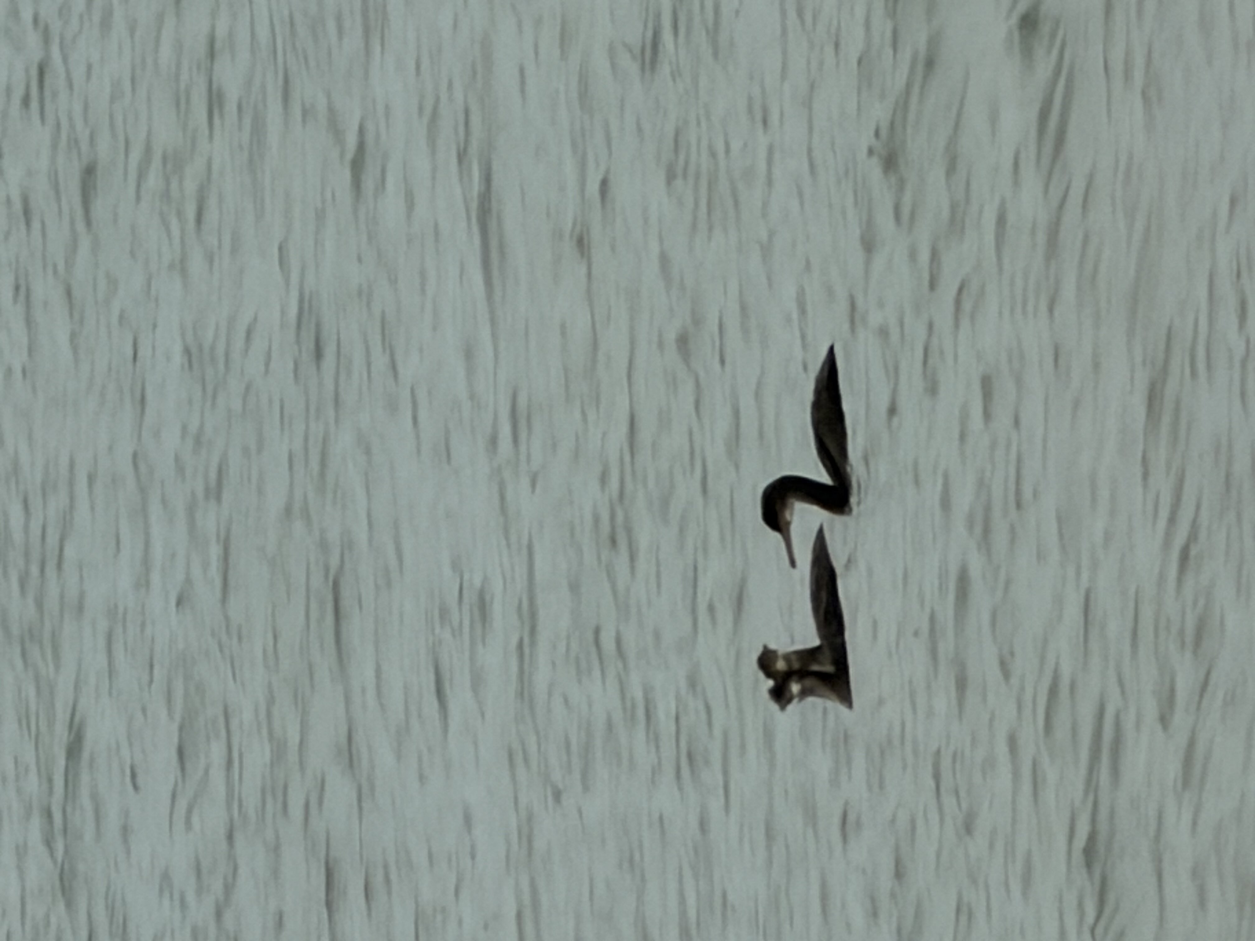 Uploaded 05/10/2025 10:36:58