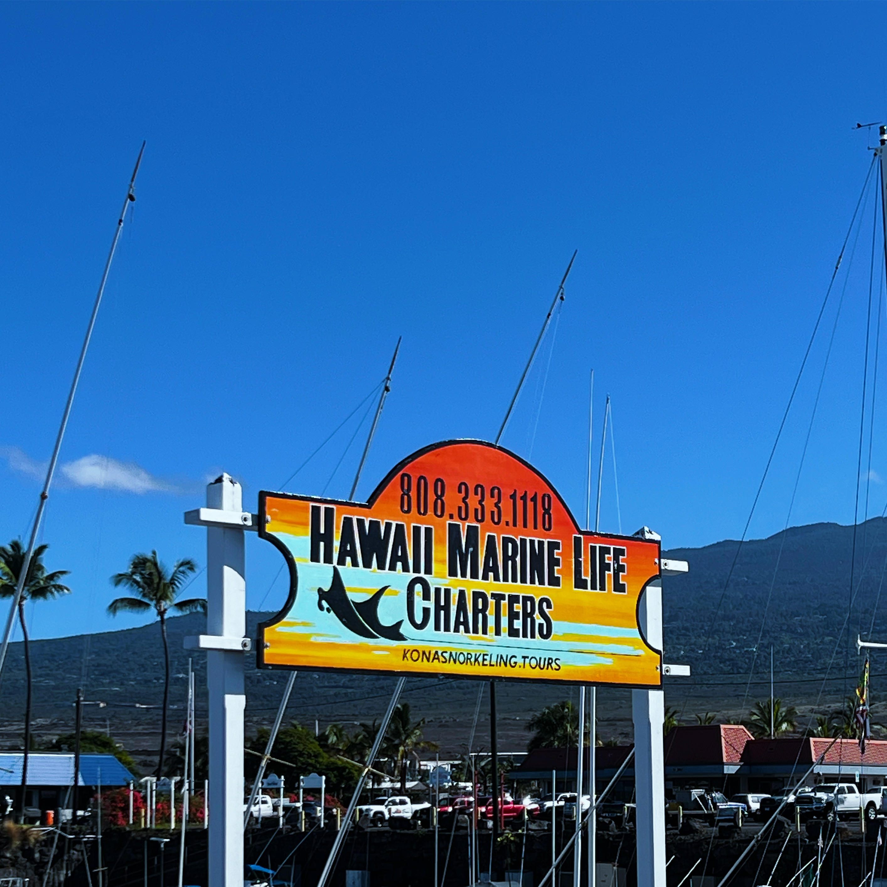 Hawaii Marine Life Charters - Kailua Kona, HI 96740 - (808)333-1118 | ShowMeLocal.com