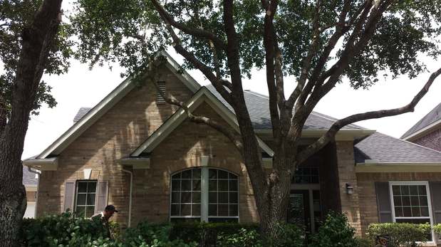 Images TNT Tree Service