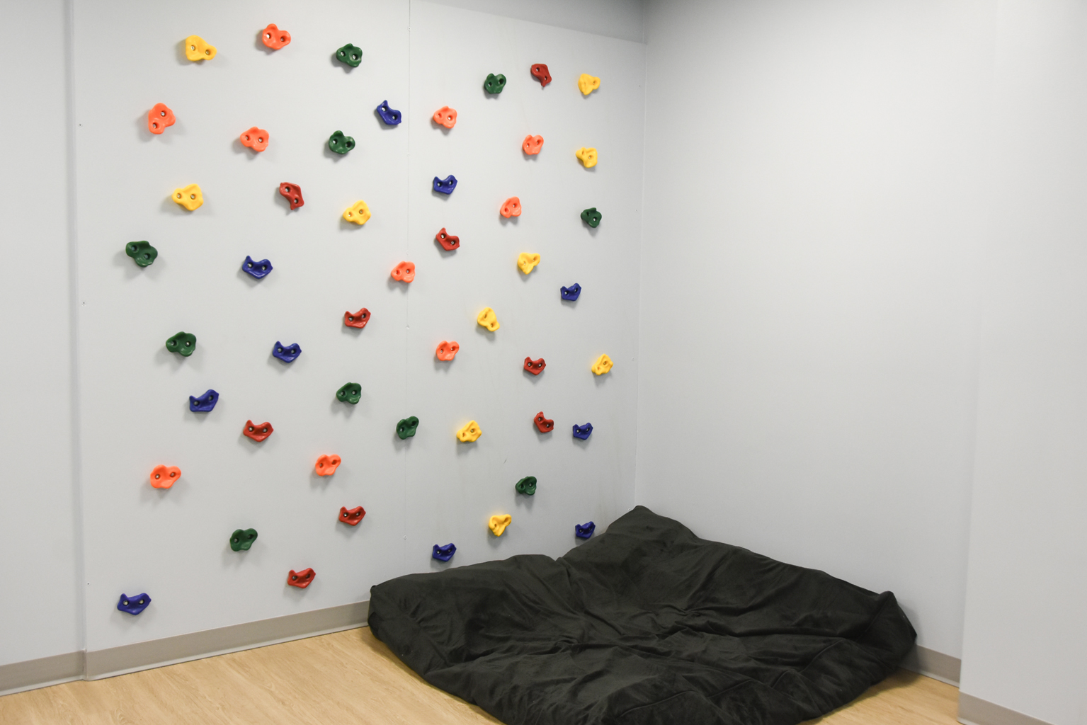 Caravel Autism Health Image