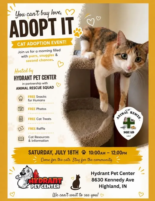 Image of Local Pet Event Kitten & Cat Adoption Event Nearby