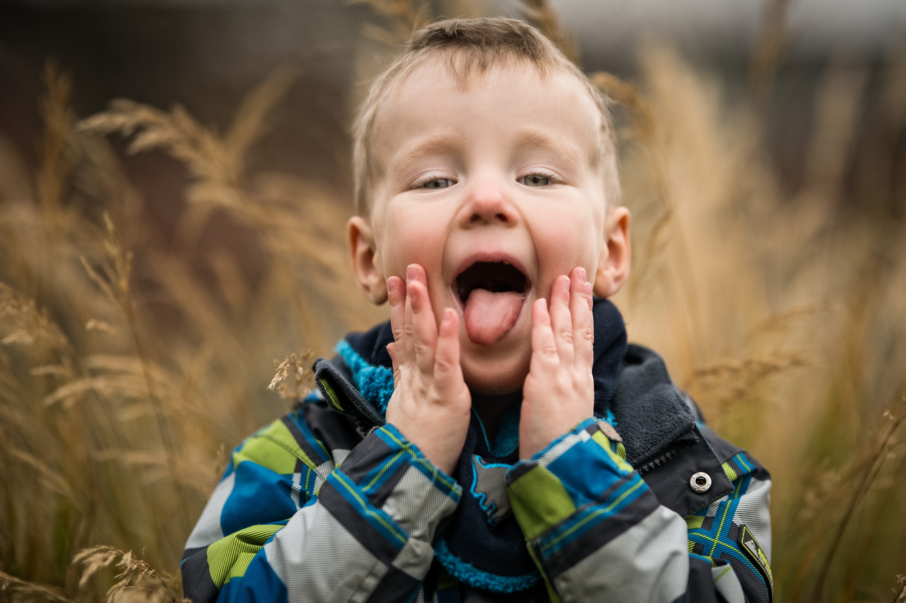 Memotion Kids, Friedrich-Klausing-Straße 12b in Potsdam