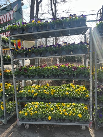 Images Victory Nursery & Landscaping Inc