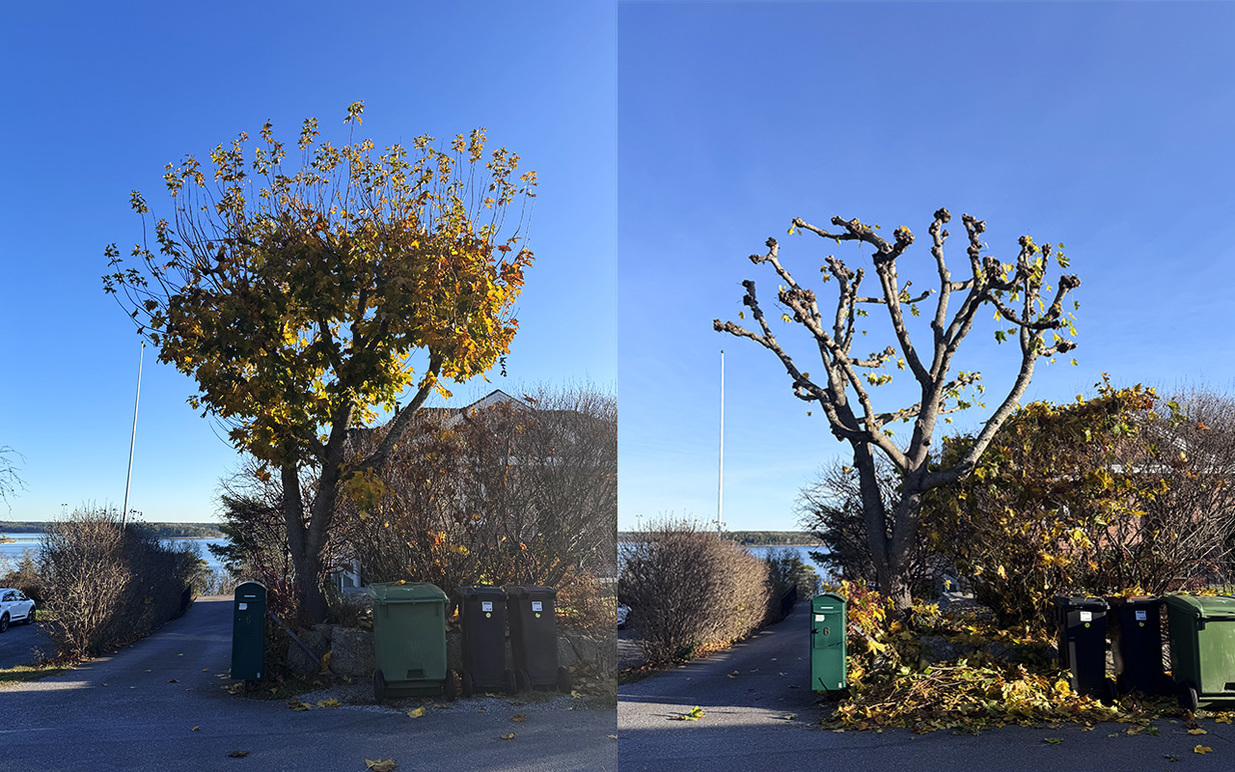 Images TrädgårdSmart i Sverige AB