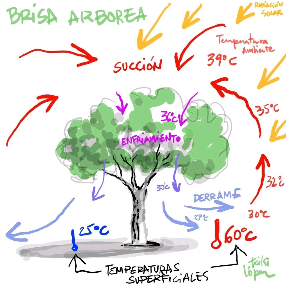 Images Sdl Investigacion Y Divulgacion Del Medio Ambiente S.L.