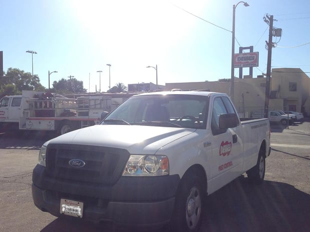 Images Dewey Pest & Termite Control