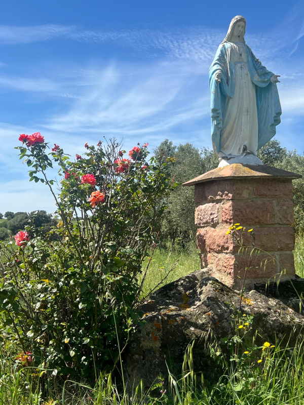 Images Albergo della Salute Villa Celeste