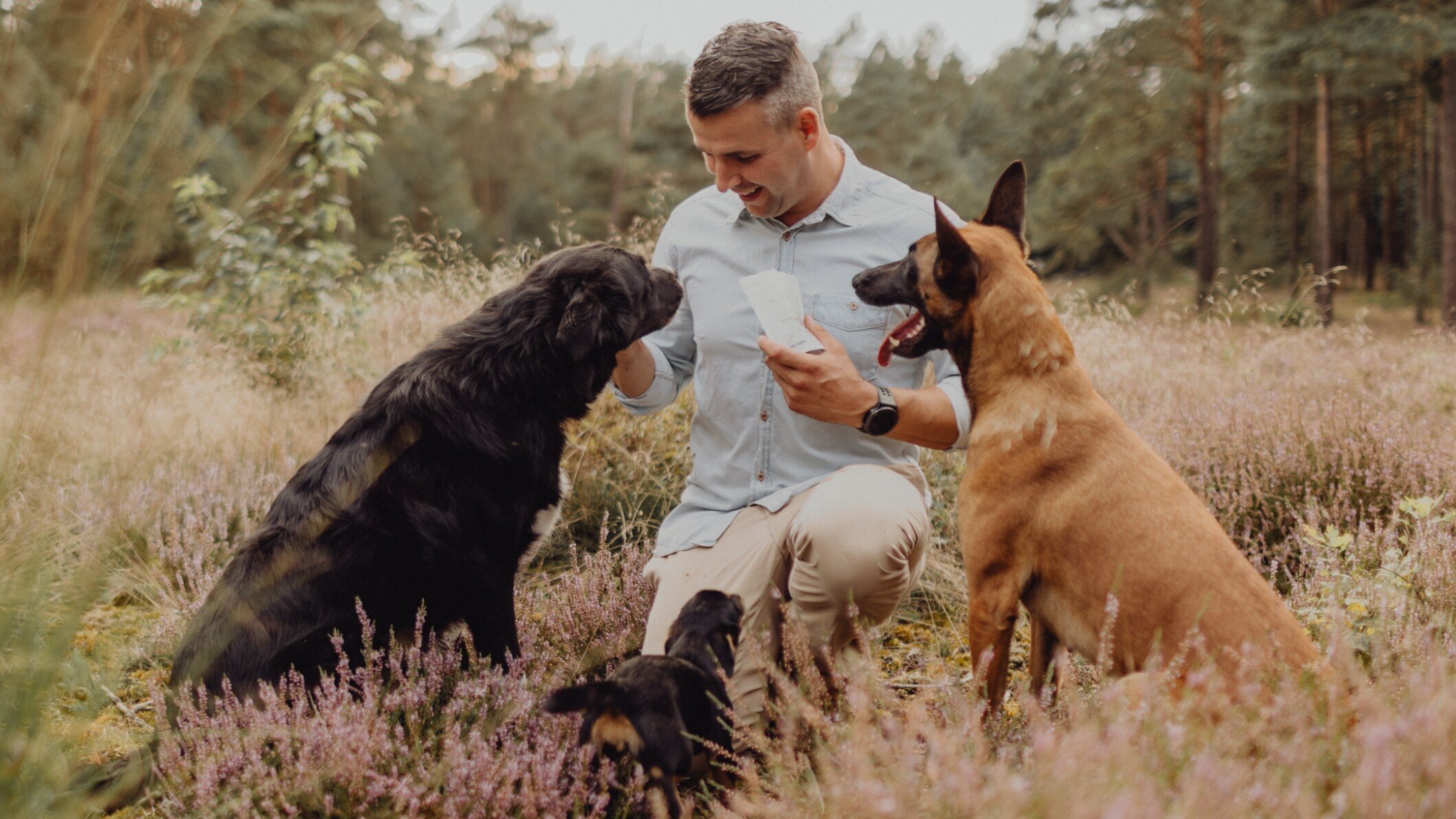 Bilder Green Pet Shop