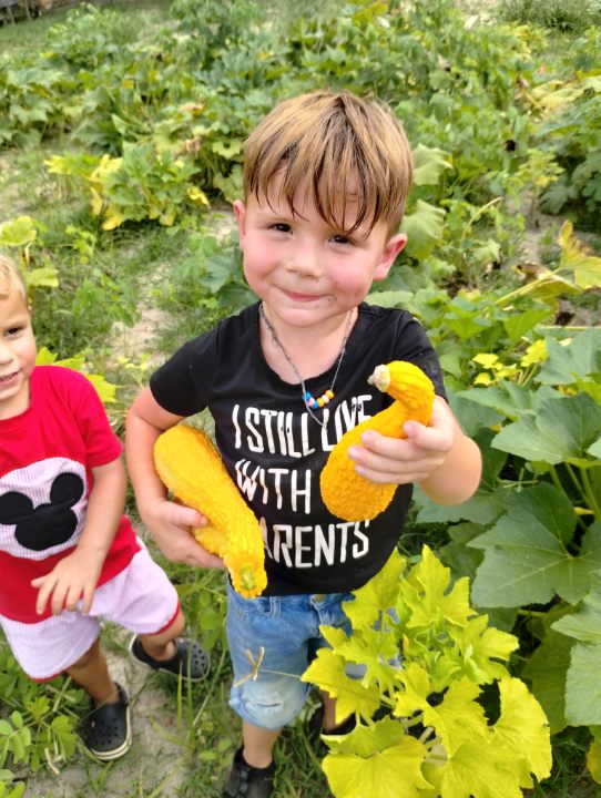 Little Folks Farm & Childcare Image