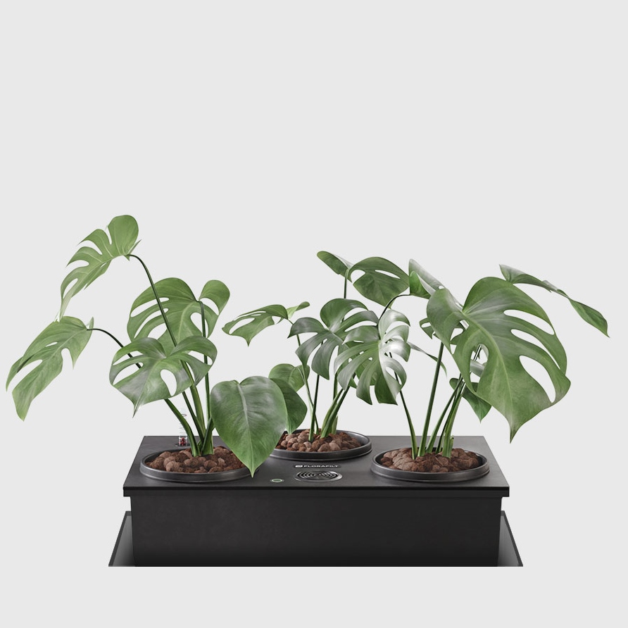 Florafilt Luftreiniger GmbH, Dorfstraße 99 in Bersteland