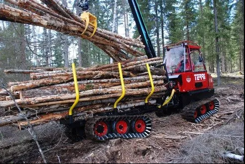 Images Kutajoen Metsärengit Ky