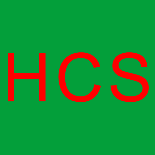 Hagman Computer Services Logo