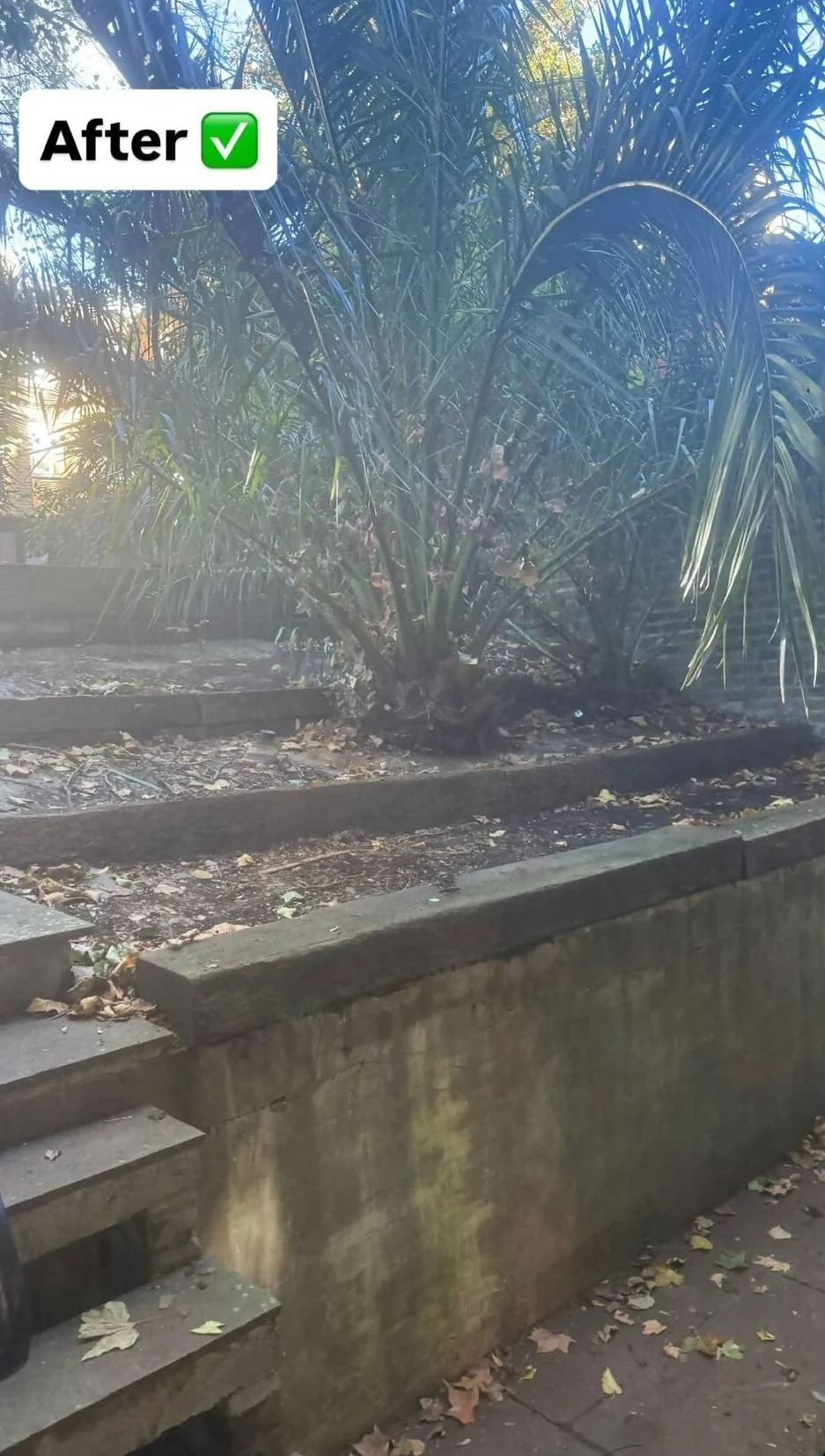 Images Bincredible Waste Solutions Ltd