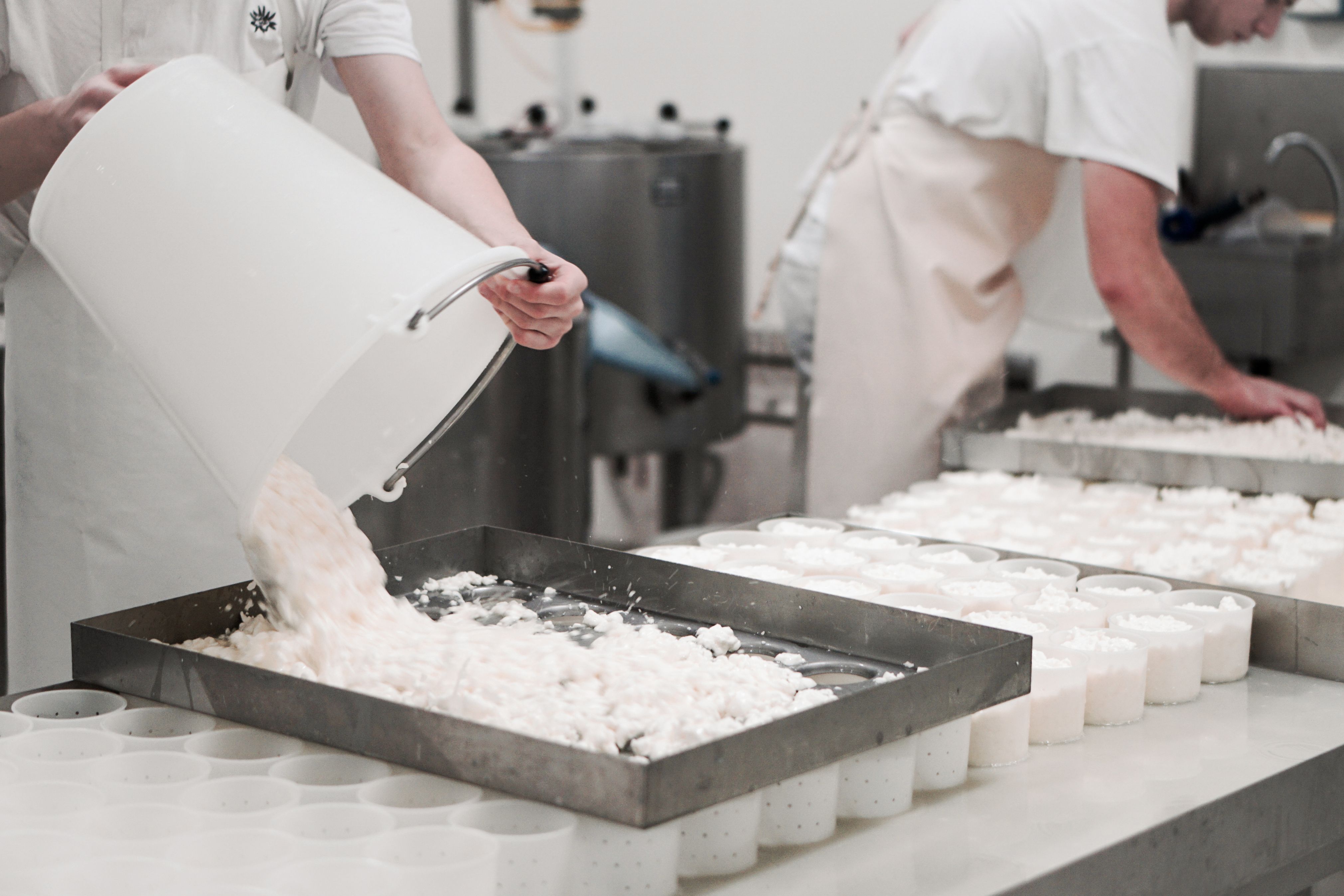 Bilder Fromagerie de Martigny SA
