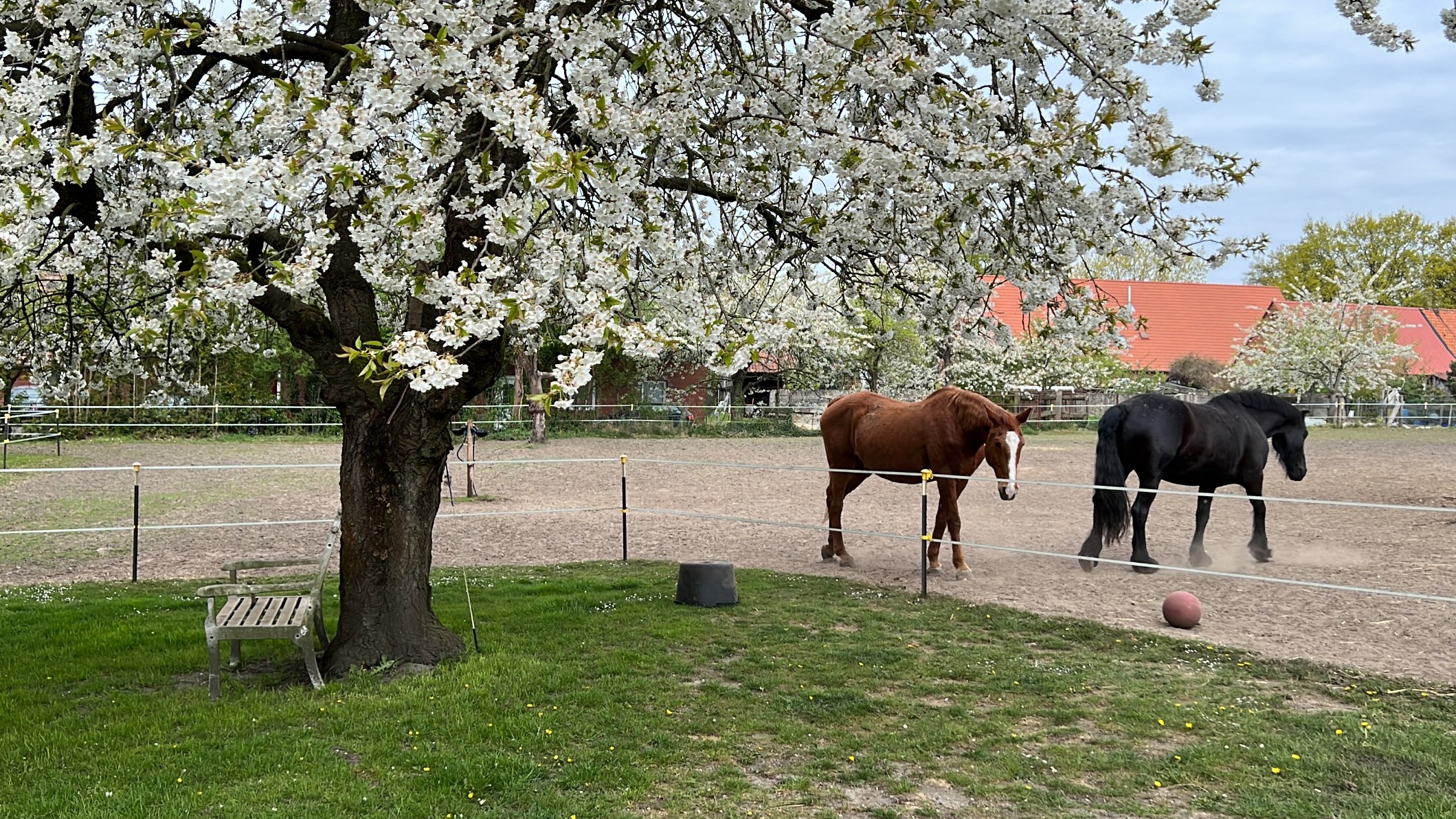 HeuKing GmbH, Ostbrander Weg 4 in Großheide