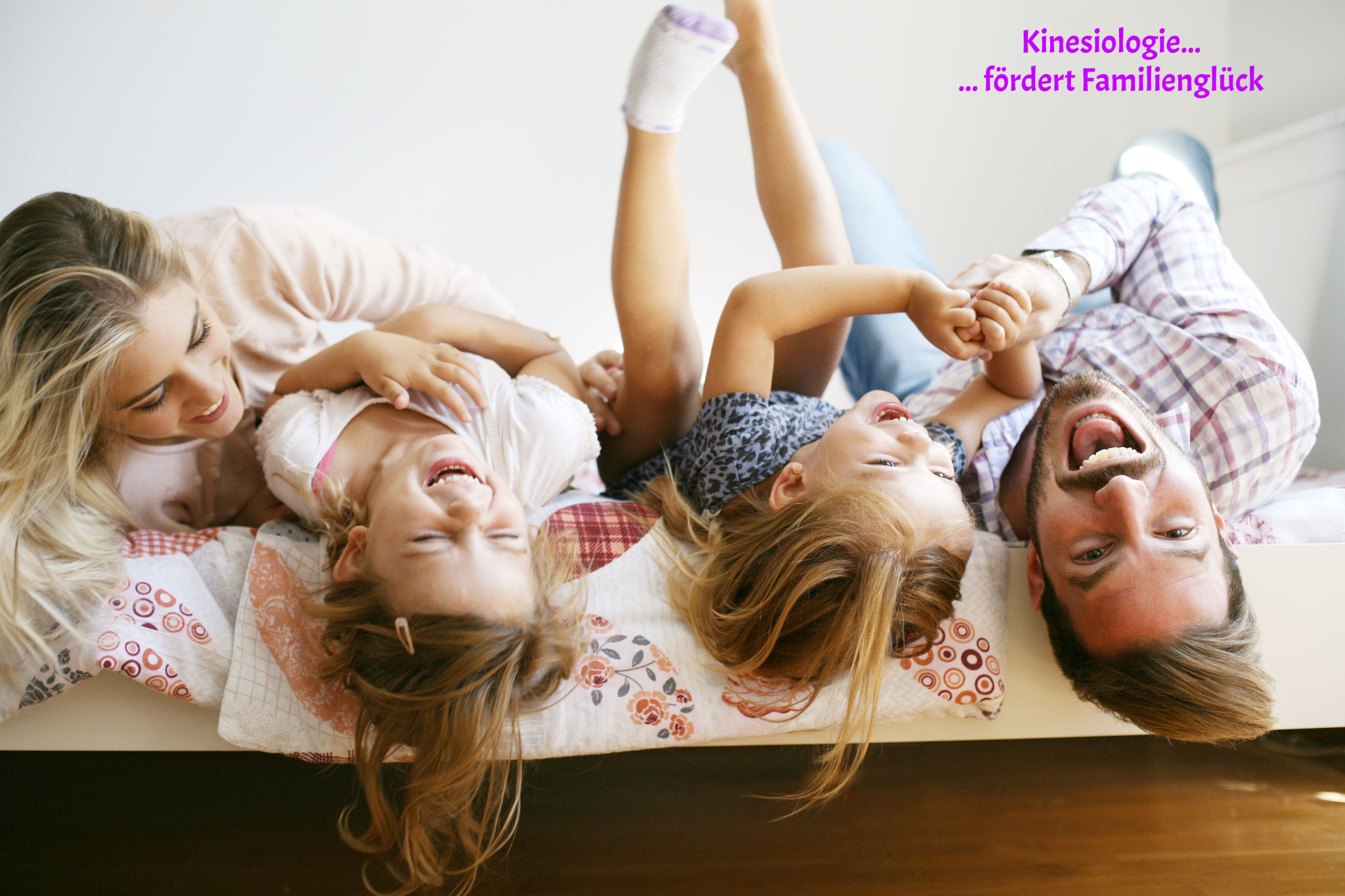 Bild 1 von Dipl. Kinesiologin Karin Rainer