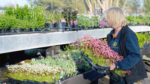 Images Piteå Handel & Trädgård AB