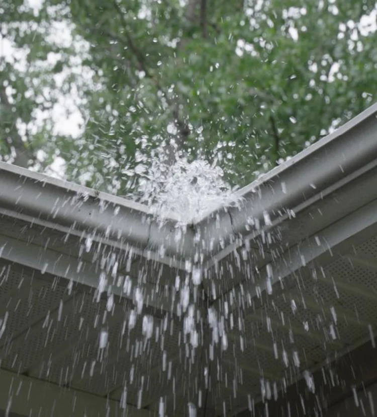 gutter service near me Colchester