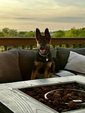 Images Marjorie Schaeffer - State Farm Insurance Agent