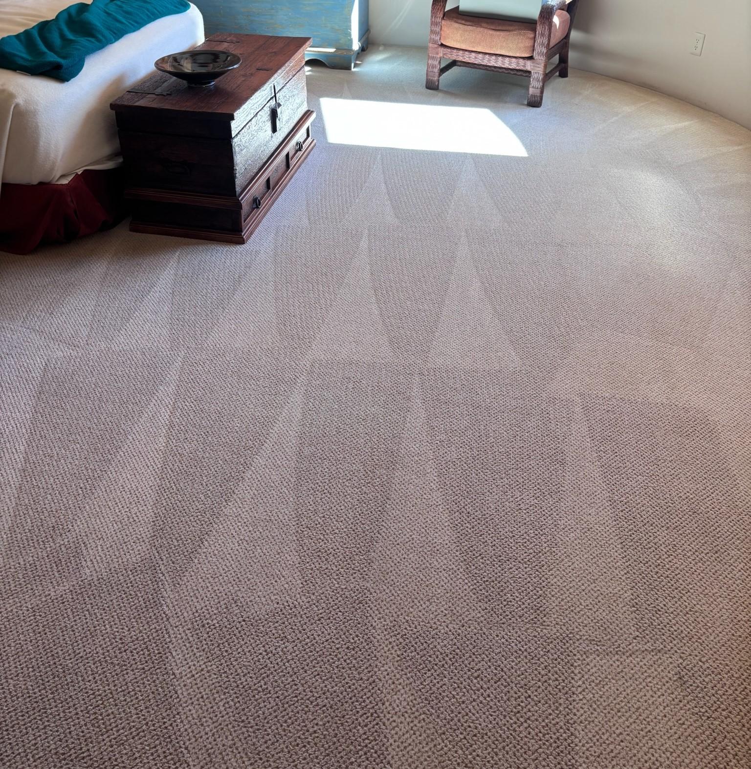 Professional carpet cleaning in Fountain Hills, AZ