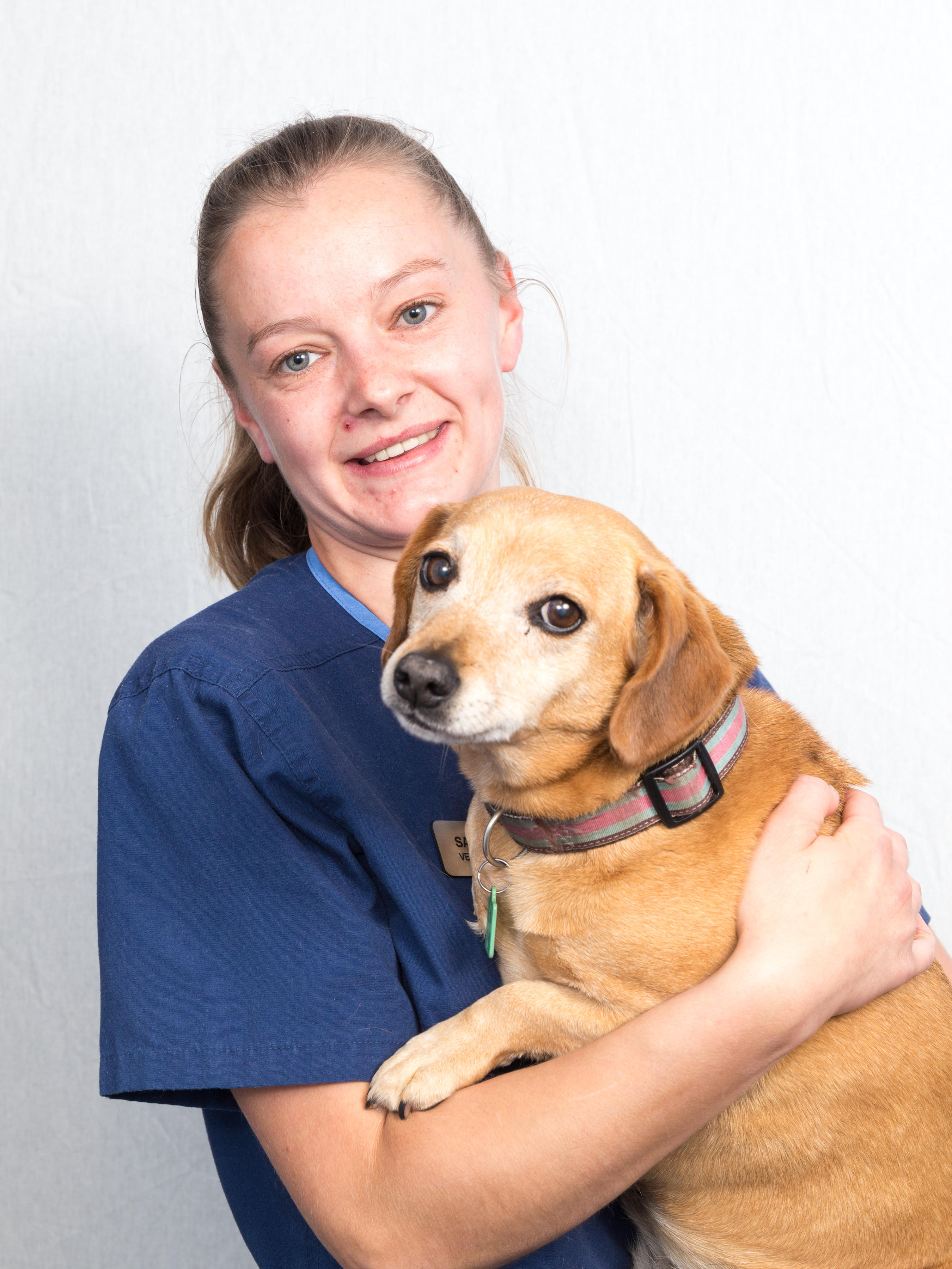 Images Shearbridge Veterinary Centre, Queensbury