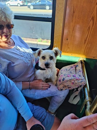 Images Chattanooga Trolley Tour