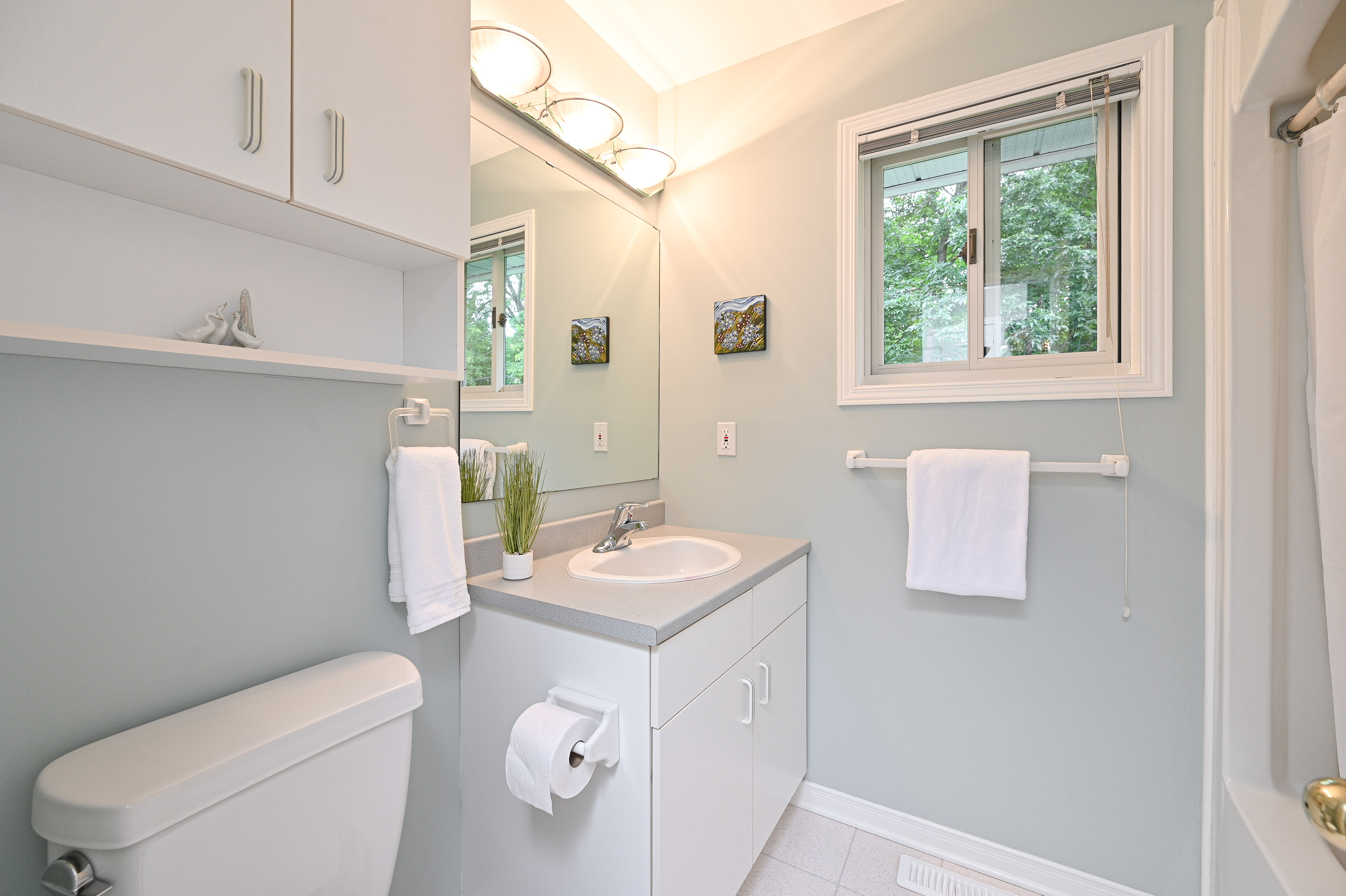 Images Leif Olson - Ottawa Real Estate Agent - Hamre Team RE/MAX Affiliates