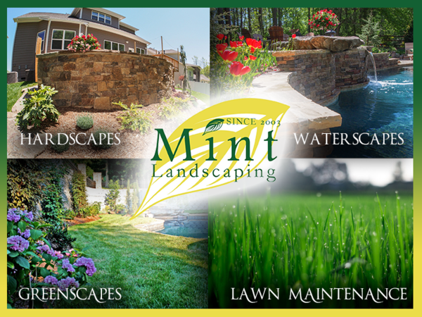 Mint Landscaping Photo
