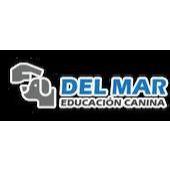 Foto de Del Mar Educación Canina Tijuana