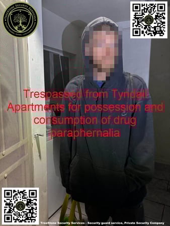 Images TreeStone Security Services