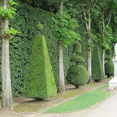 Christfried Krause, Bartenmühlenweg 8 in Rot am See