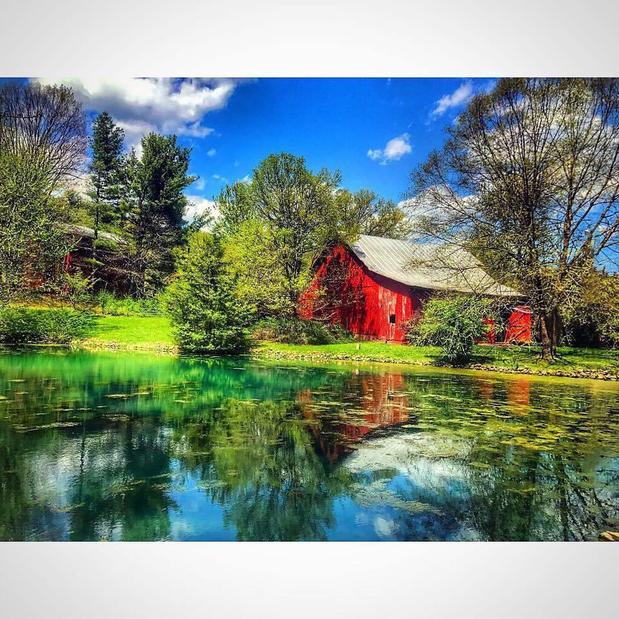 Images Maple Lane Farm