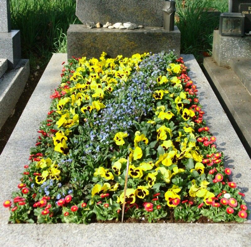 Gartenbau Diner e.U., Kolbegasse 34 in Wien