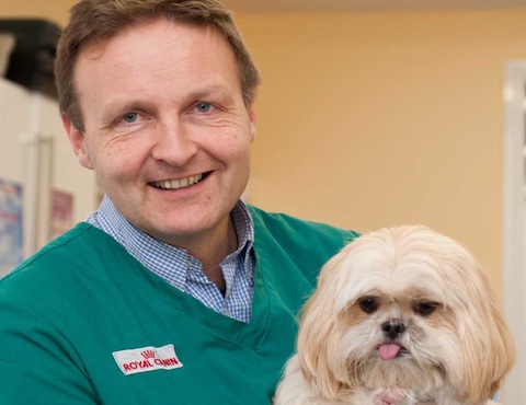 Acorn Veterinary Clinic - Mallow 7