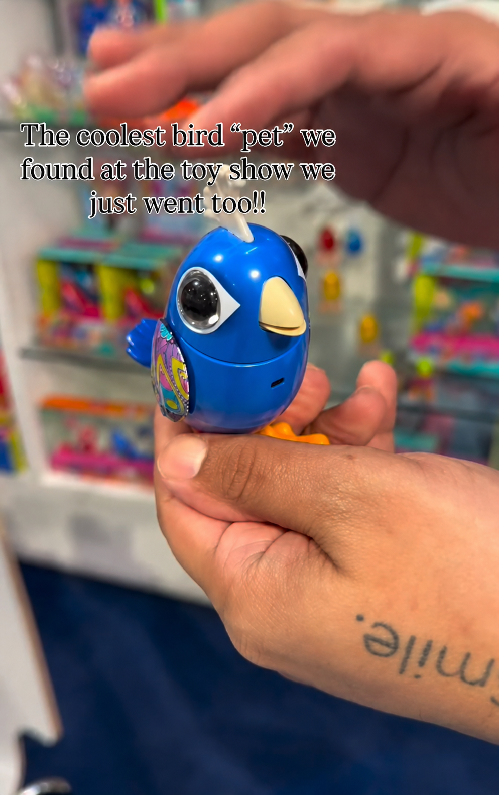 Check out these adorable digi birds! ???? Coming to the store soon!