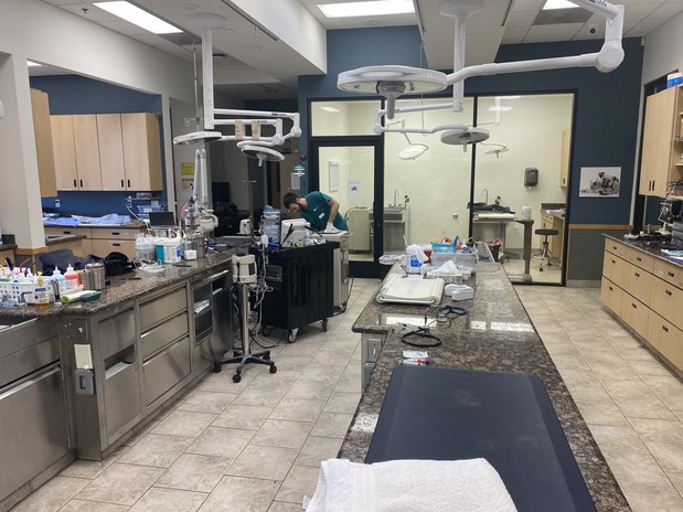 Images VCA Santa Margarita Animal Hospital