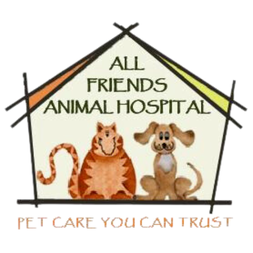 All Friends Animal Hospital