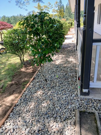 Images Amparo's Lawn Maintenance